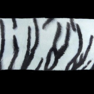 Piel pelo tigre blanco 10cm