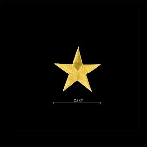 Estrella bordada termoadhesiva 2,7cm. Oro y plata