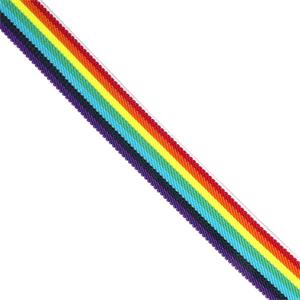 Cinta de goma elástica del arco iris LGTB. Varios tamaños