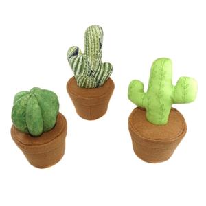 Alfiletero cactus surtido