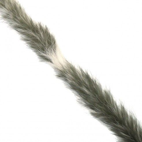 Cordón de pelo de conejo verde y marfil. 2cm