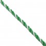 Cordón de seda trenzado verde y blanco 5mm