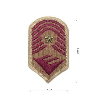 Parche termoadhesivo 40x65mm. Escudo militar con tacha