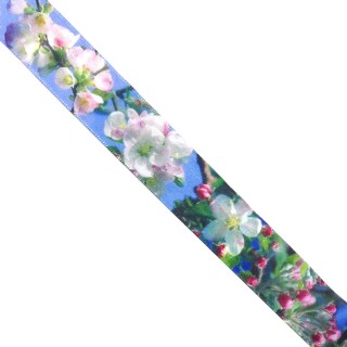 Cinta nylon azul con diseño de paisaje flores. Varios tamaños